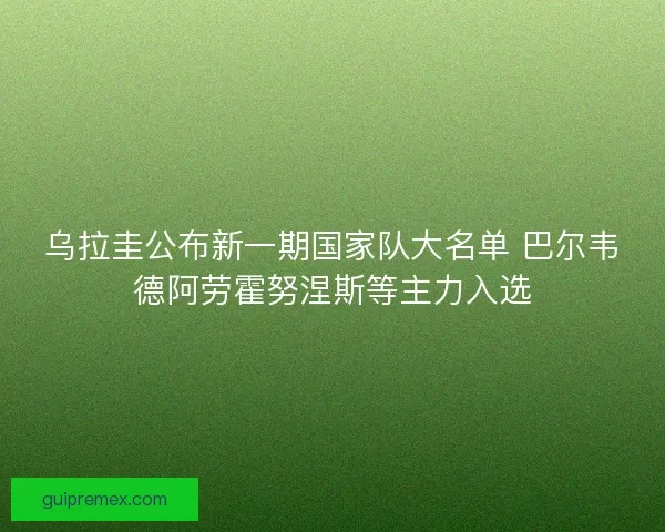 乌拉圭公布新一期国家队大名单 巴尔韦德阿劳霍努涅斯等主力入选