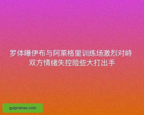 罗体曝伊布与阿莱格里训练场激烈对峙 双方情绪失控险些大打出手