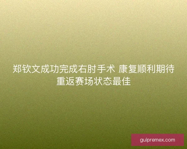 郑钦文成功完成右肘手术 康复顺利期待重返赛场状态最佳